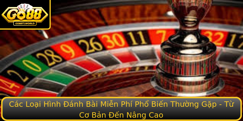 Cac Loai Hinh Stronganh Bai Mien Phistrong Pho Bien Thuong Gap Tu Co Ban En Nang Cao