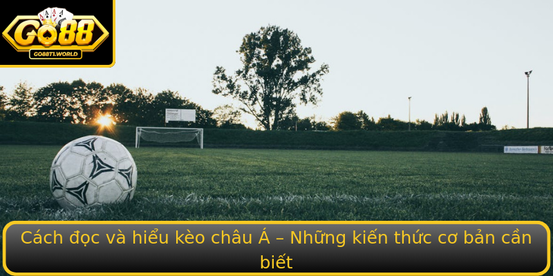 Cách đọc và hiểu kèo châu Á – Những kiến thức cơ bản cần biết
